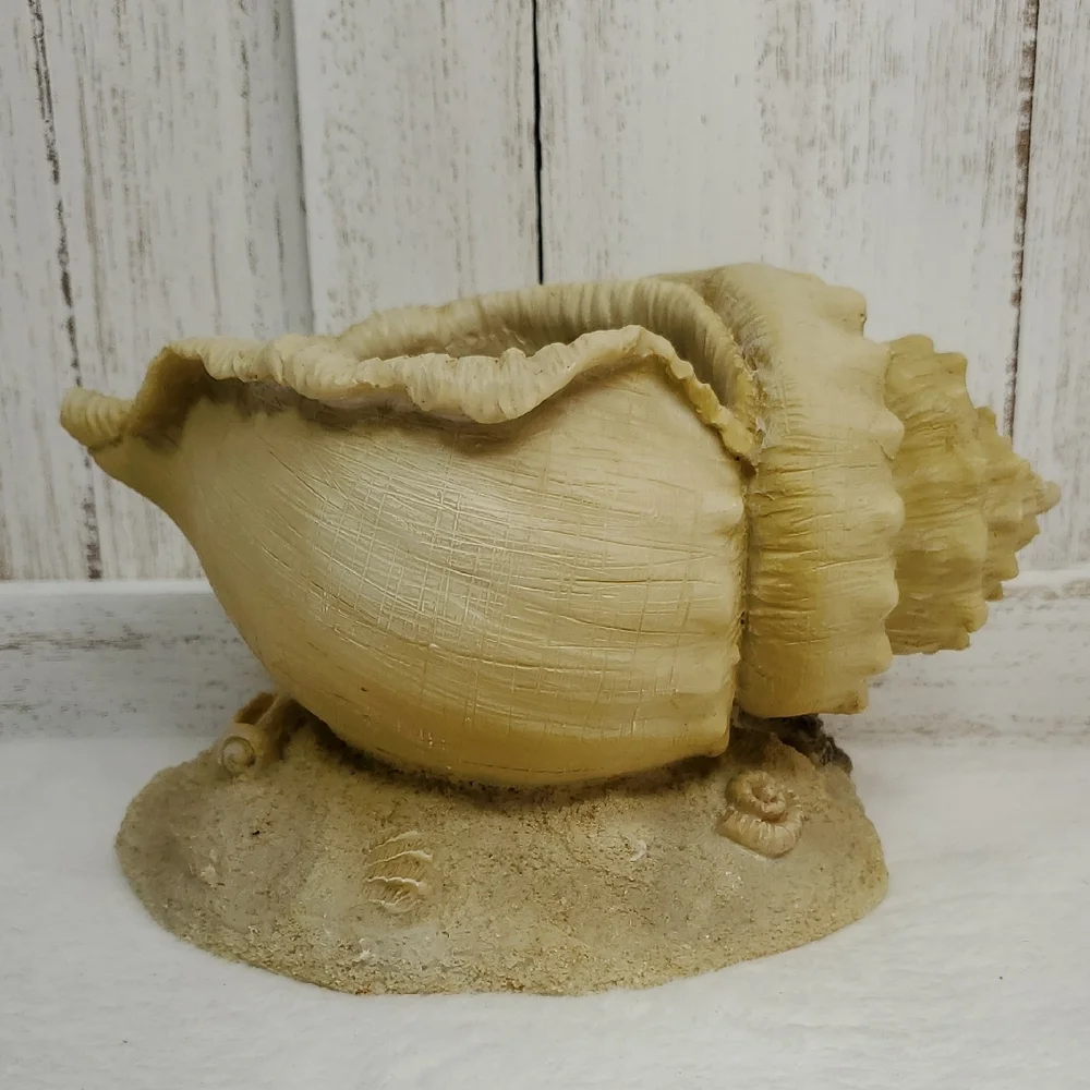 Conch Shell Seashell Planter Beach Ocean Coastal Decor